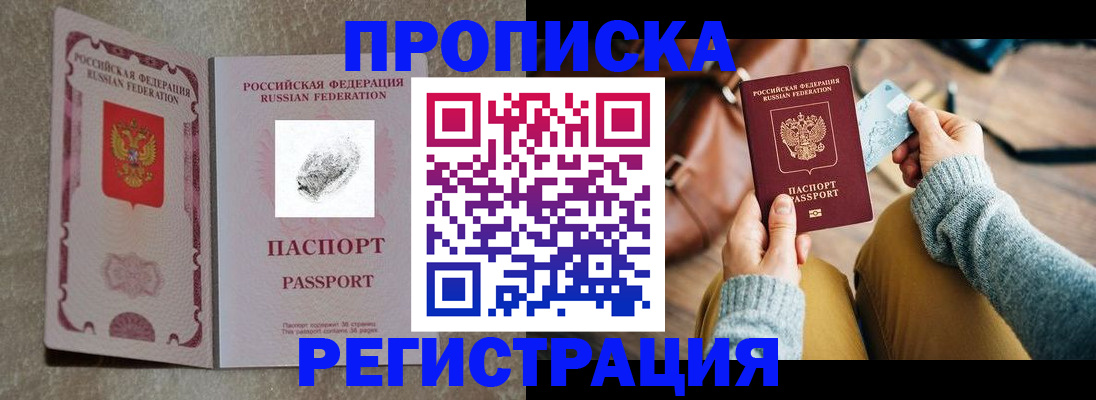 прописка поиск в Александровске